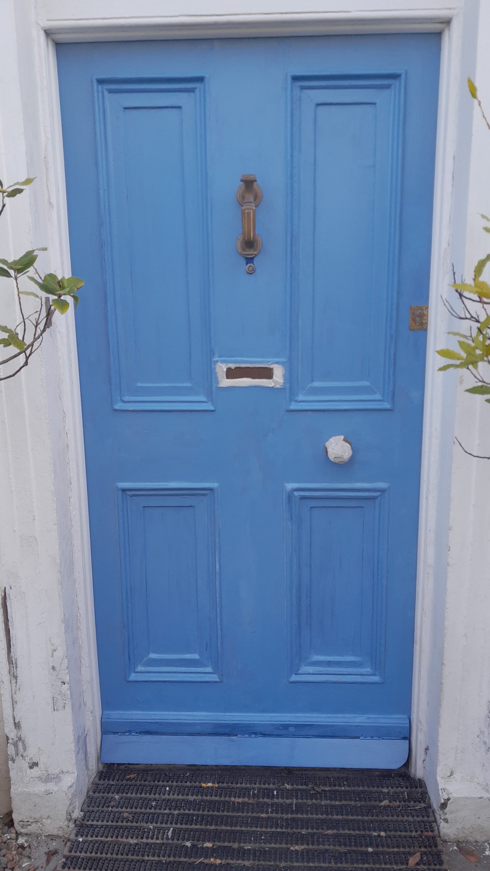 Door after repair and painting
