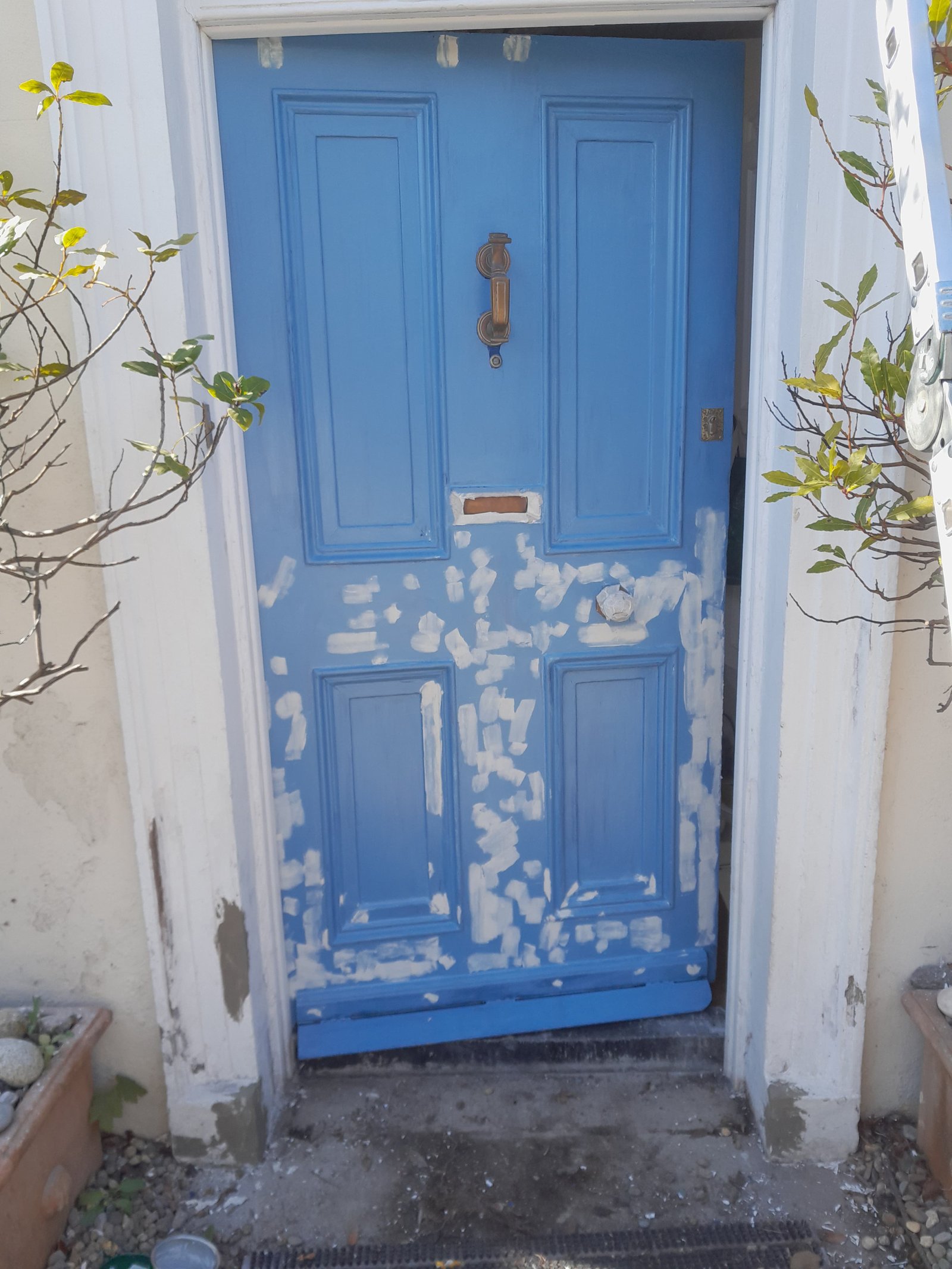 Door before repair showing peeling paint