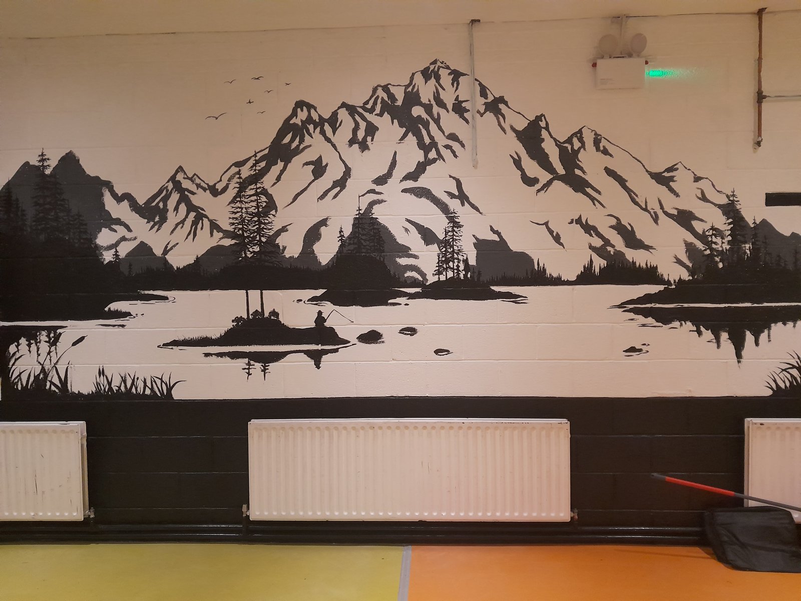 Bespoke wall mural by South Dublin Painters